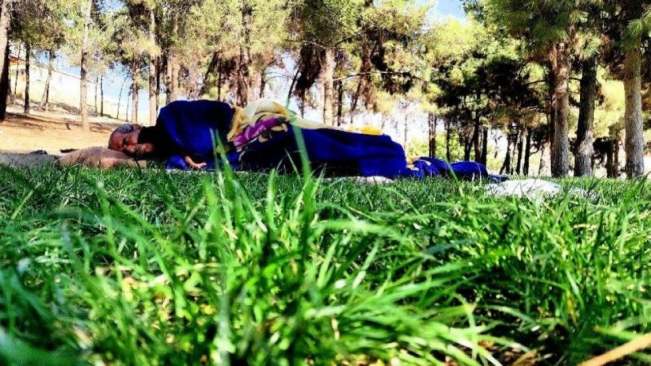 Video Haber: Şanlıurfa’da yürek yakan olay