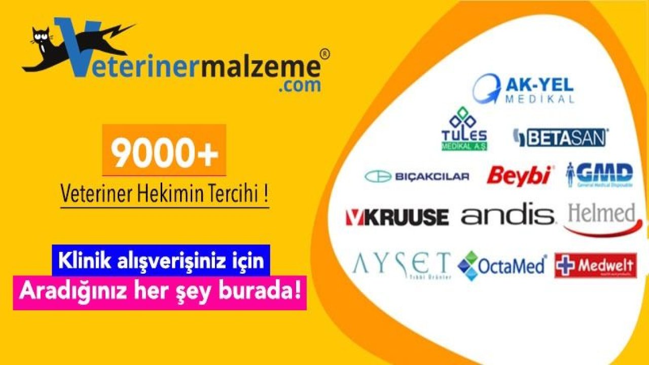 Veteriner hekimlerin kullandığı wood lambası