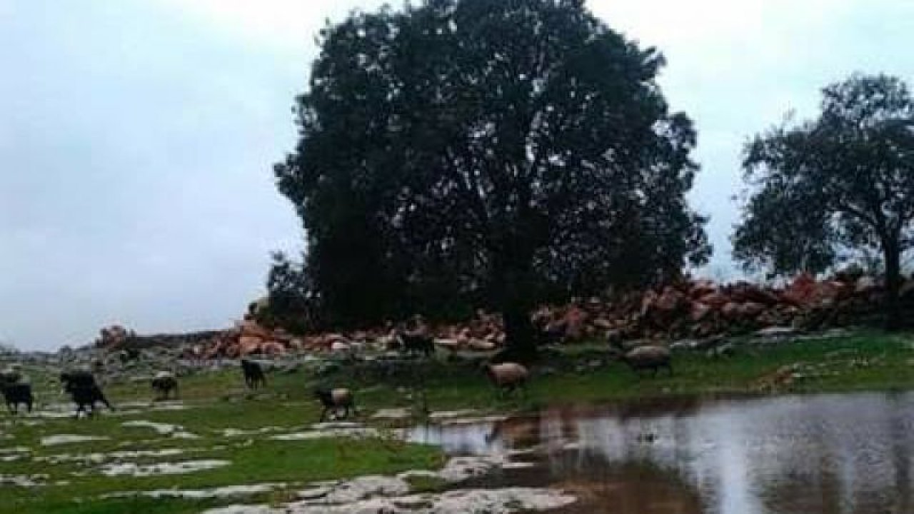 SICAK GELİŞME! Video Haber...Gaziantep’te görevli imam kazada 3 oğlunu ve yeğenini birden kaybetti!