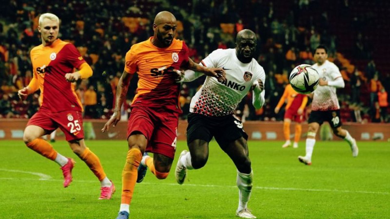 Bal yapmayan arı Nohua Dicko