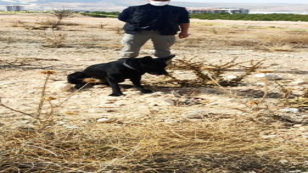 Video Haber...Gaziantep'te toprağa gömülü valizde mühimmat ele geçirildi