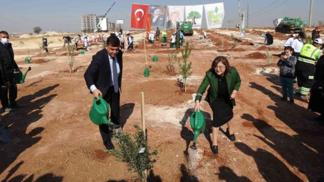 Şehitkamil’de binlerce fidan toprakla buluştu