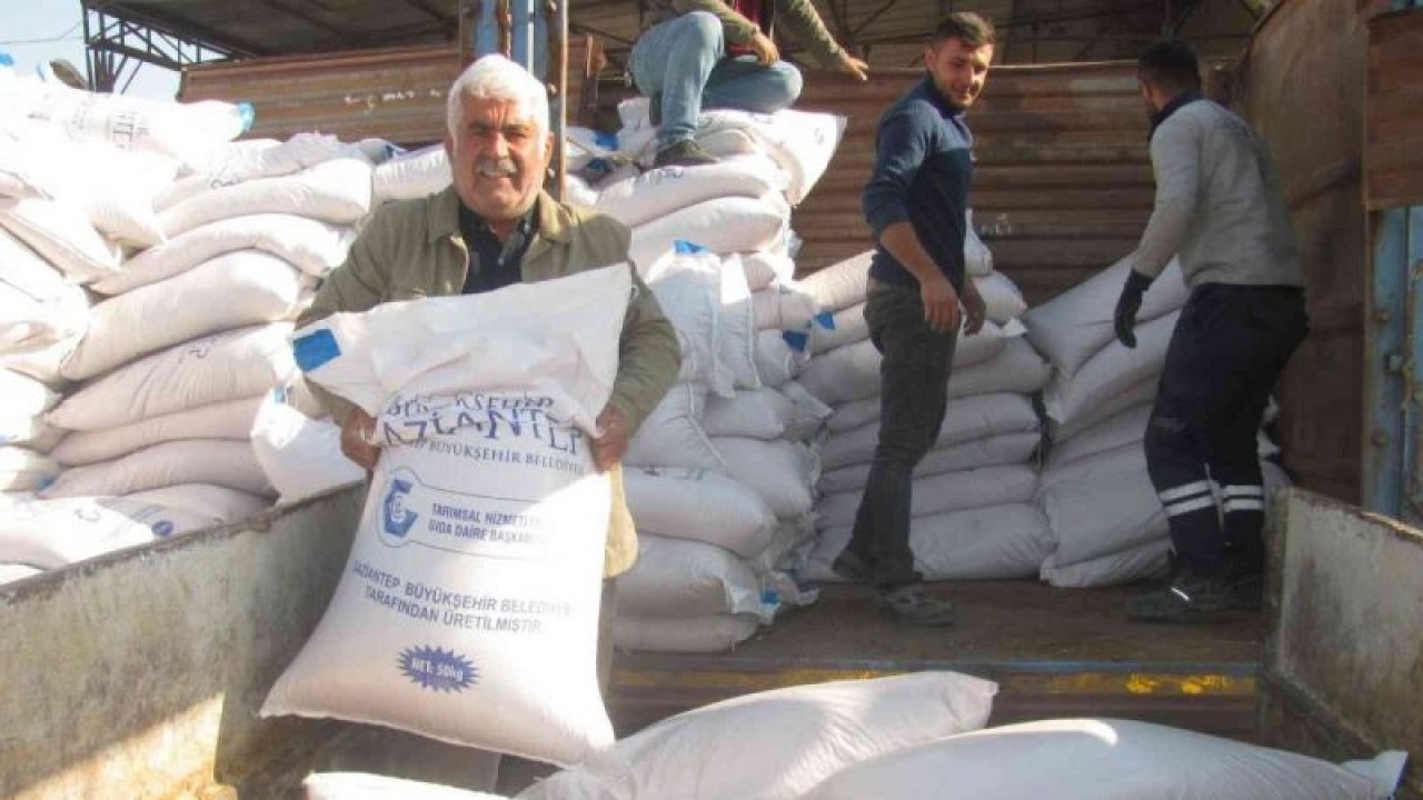 Gaziantep Büyükşehir’den çiftçiye buğday tohumu