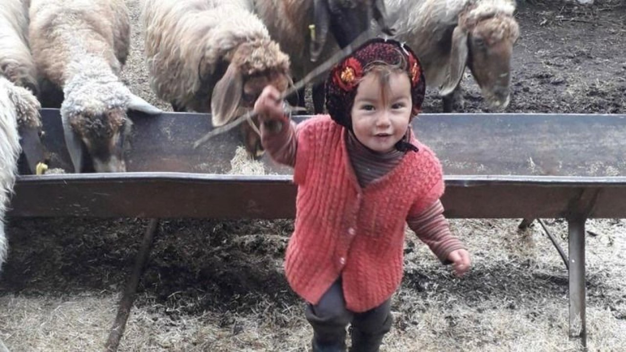 Video Haber: Müslüme hepimizin ciğerini yaktı