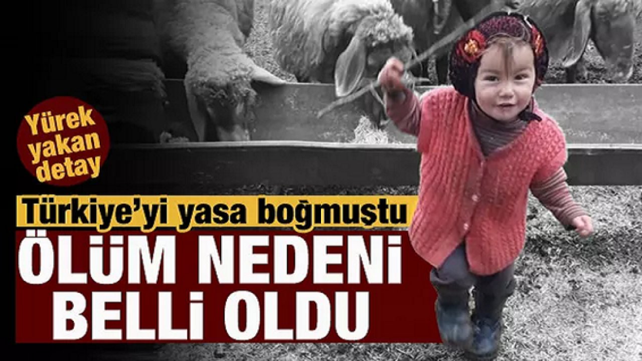 Türkiye'yi yasa boğmuştu: Küçük Müslüme'nin ölüm nedeni belli oldu