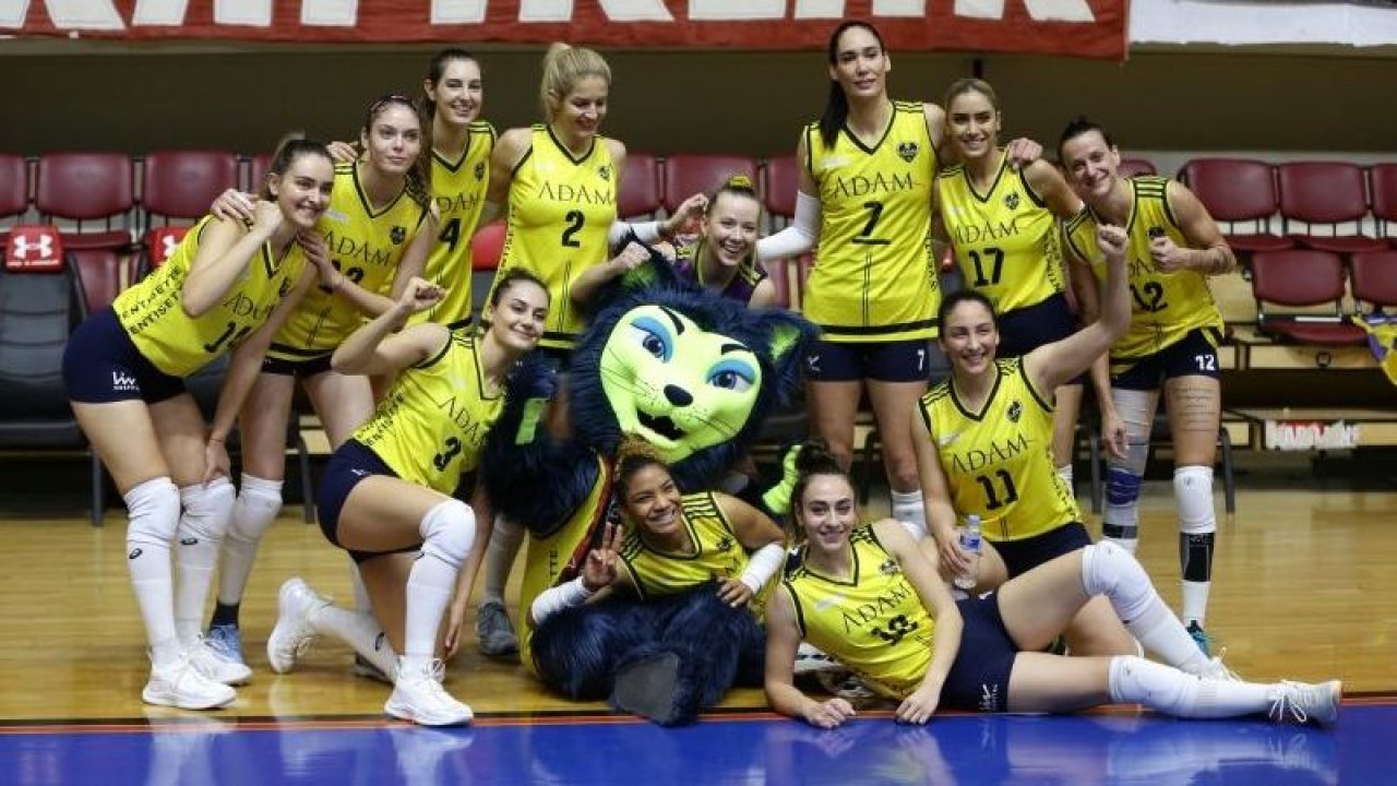 Adam Voleybol dolu dizgin