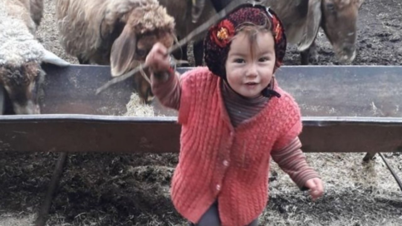 Son dakika haberi Müslüme'nin ailesinden 8 kişi adliyeye sevk edildi