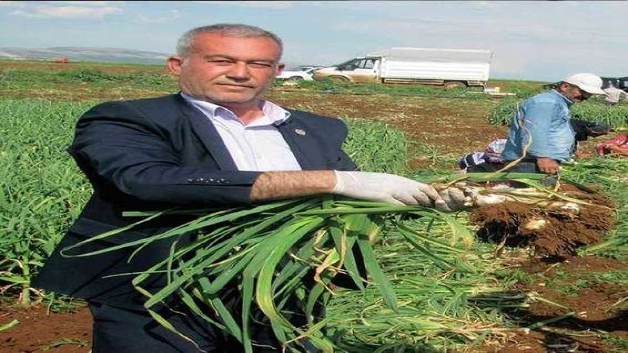 Arabanlı çiftçilere don uyarısı