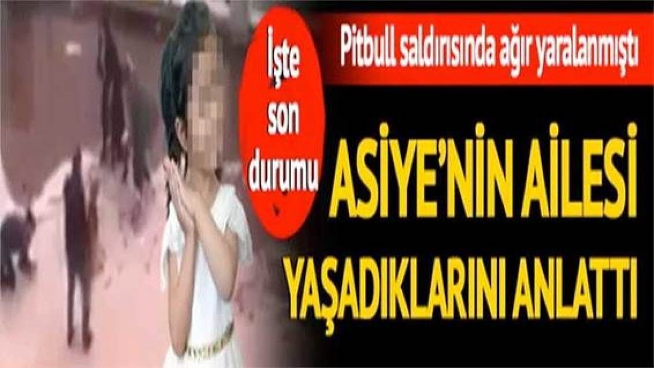 Son Dakika: Gaziantep'te iki Pitbull'un saldırısına uğramıştı, ailesi yaşadıklarını anlattı! İşte Asiye Ateş'in son durumu