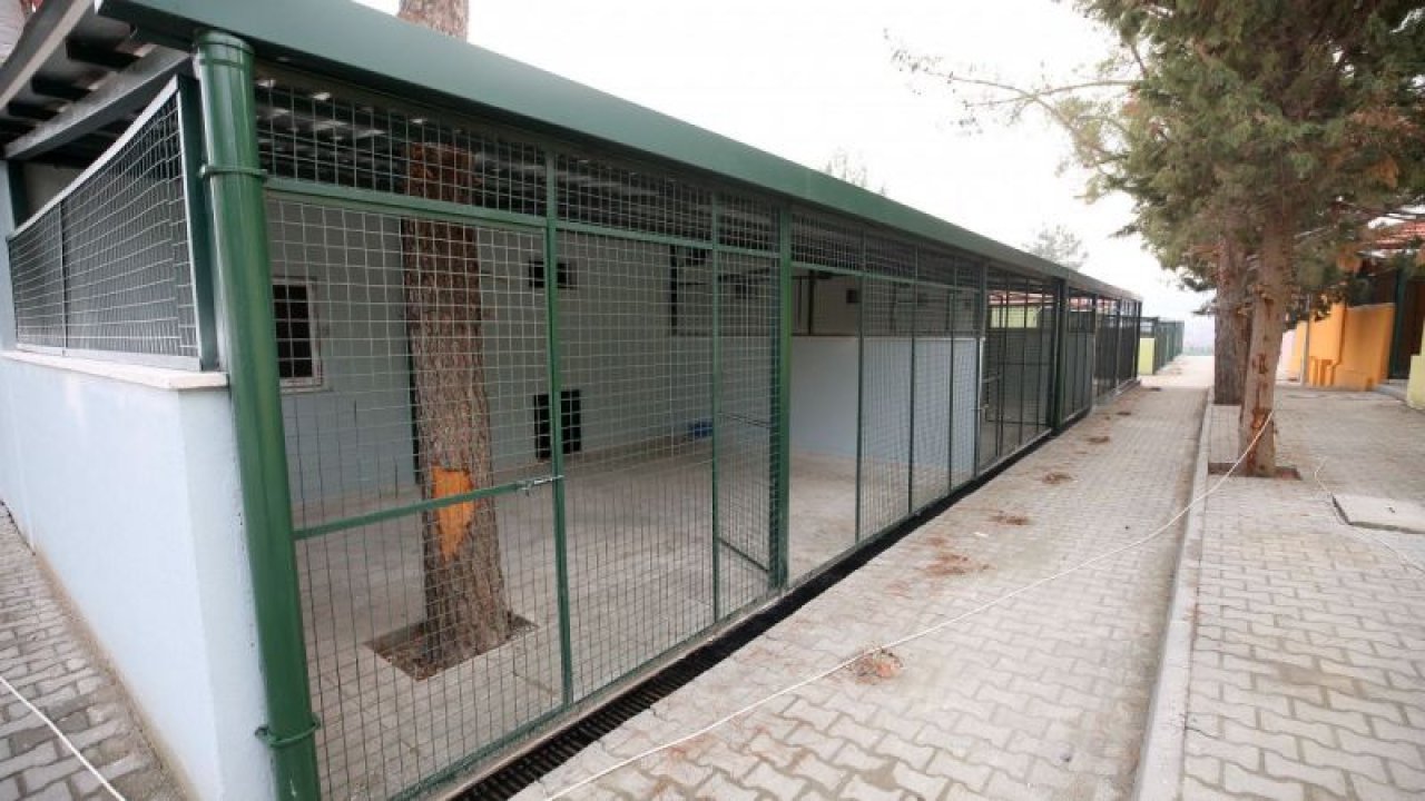 Foto Haber: Büyükşehir'den Dev Hayvan Barınağı...Gaziantep'e 5 bin hayvan kapasiteli modern barınak