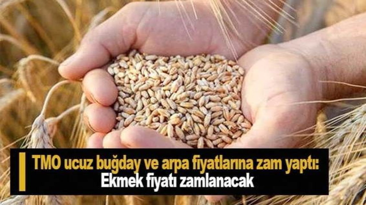 Son Dakika: TMO ucuz buğday ve arpa fiyatlarına zam yaptı: Ekmek fiyatı zamlanacak