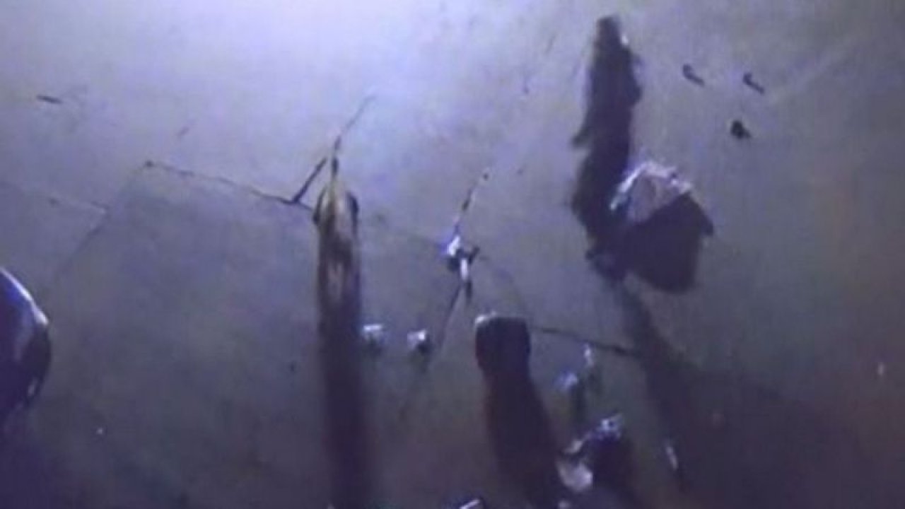 Son Dakika: Video Haber...Gaziantep’te bir pitbull dehşeti daha... Karton toplayan kadına pitbull saldırısı kamerada
