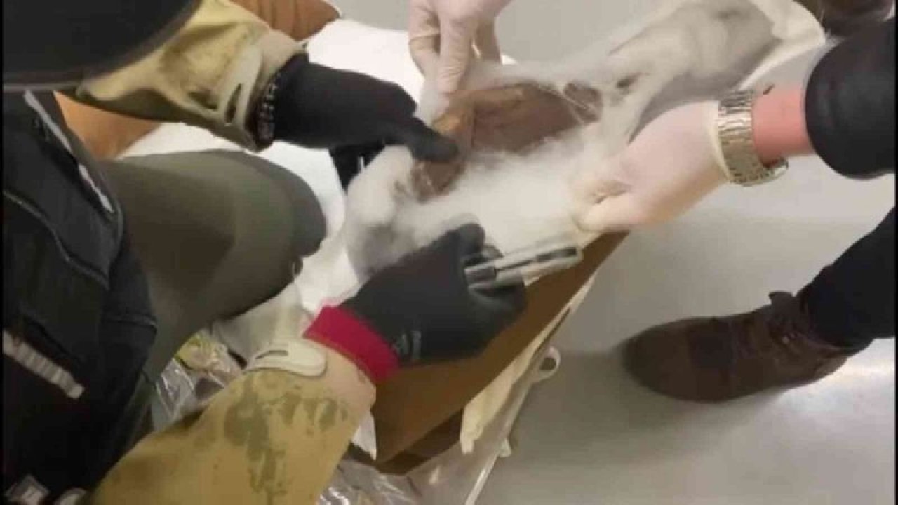 Son Dakika: Video Haber...Gaziantep'te Kargo Firmasına Uyuşturucu Operasyonu...Avrupa'ya Gönderilecek Uyuşturucu Ele Geçirildi