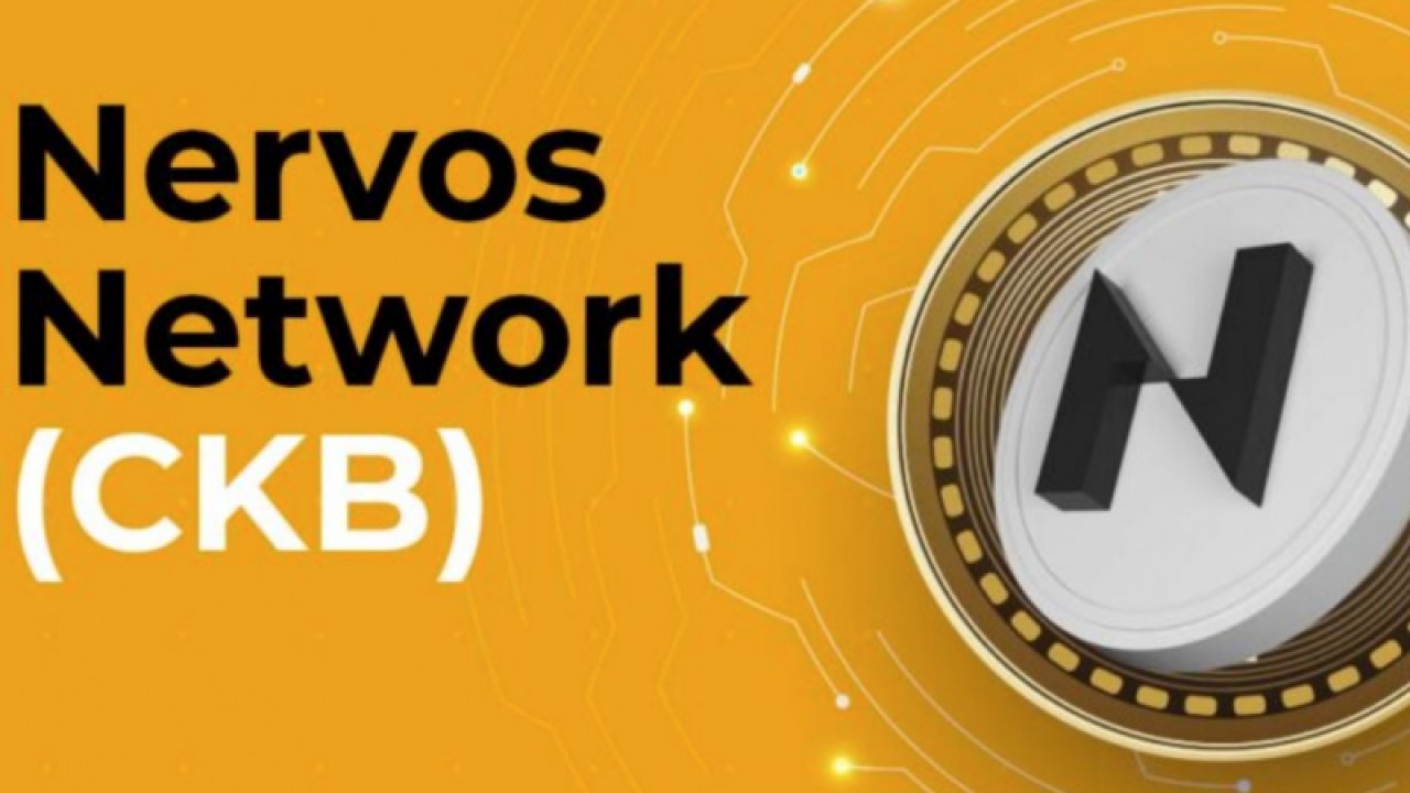 En Çok Kripto Para Kullanan Ülkeler