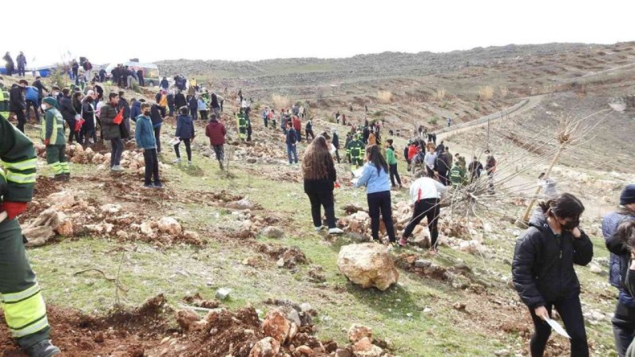 Video Haber...Şahinbey’de 26 bin ağaç dikilecek
