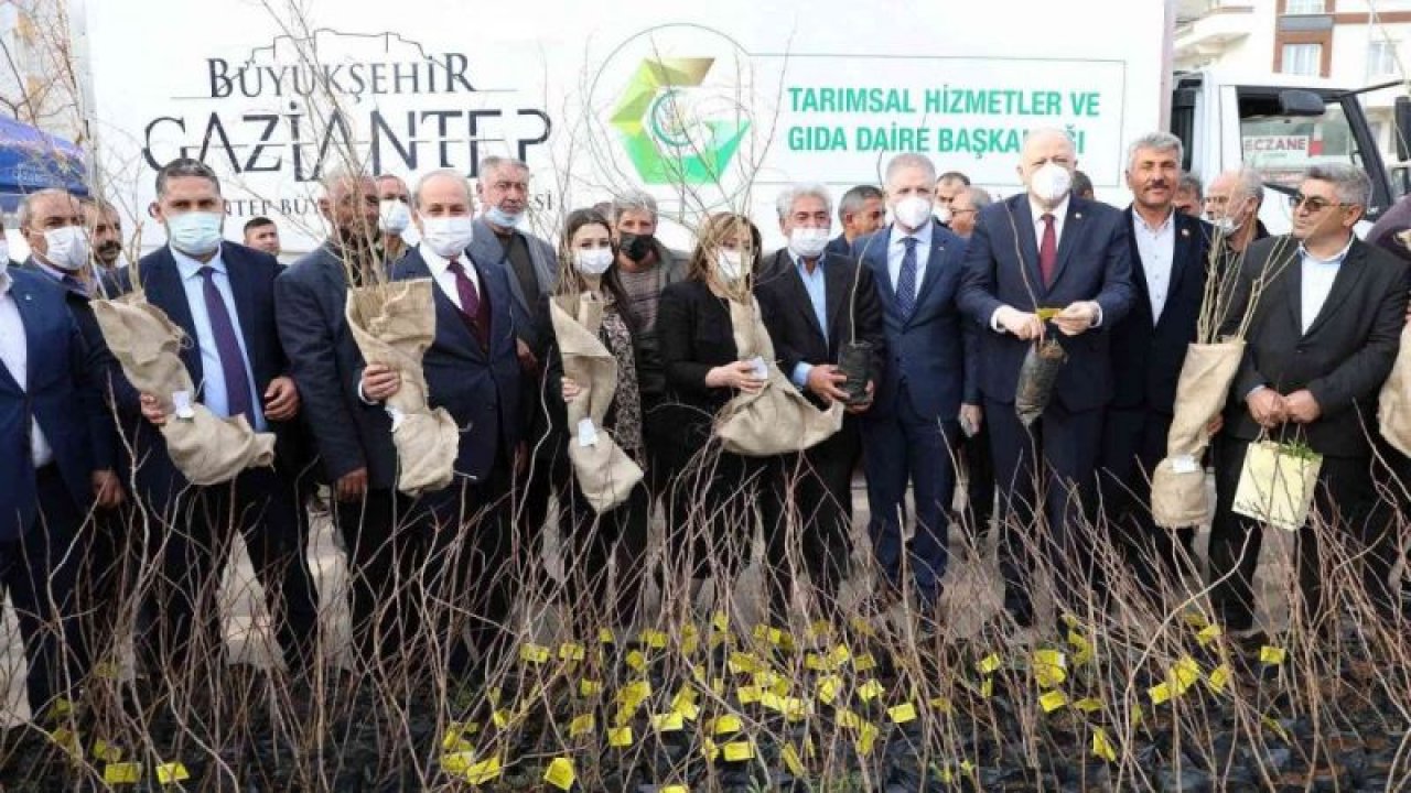 Gaziantep'te Çiftçiye Destek Sürüyor...Oğuzeli Çiftçisinin Yüzü Güldü