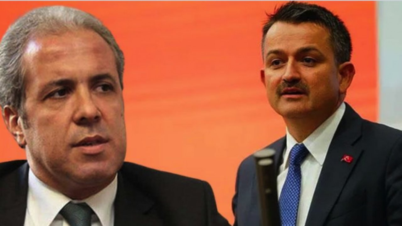 Şamil Tayyar: "Bekir Pakdemirli’nin ise kibrinden kurtulmasını Rabbimden niyaz ederim" Paylaşımı Gündeme Bomba Gibi Düştü