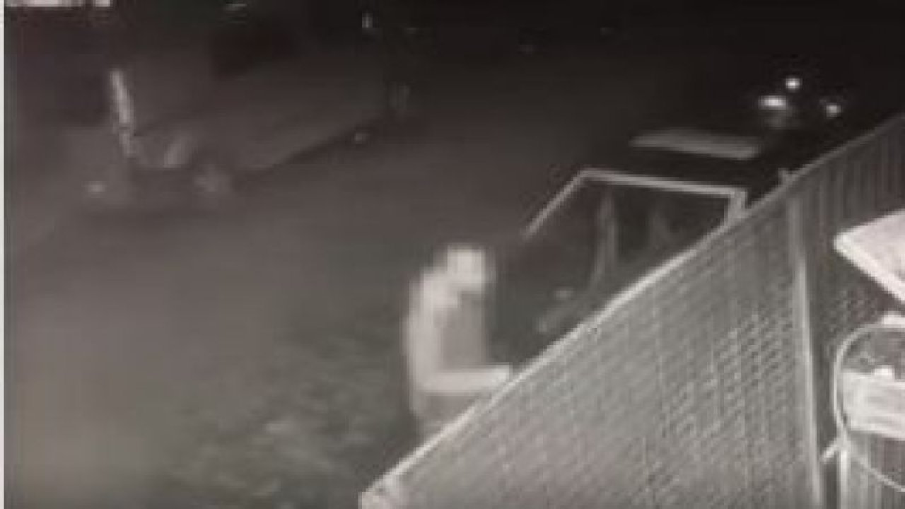 Son Dakika: Video Haber...UYUŞTURUCU' bağımlılığı Gaziantep'te kameralara yansıdı...Gaziantep'te 'Uyuşturucu kullanan vatandaş köpeğe tabancayla ateş etti