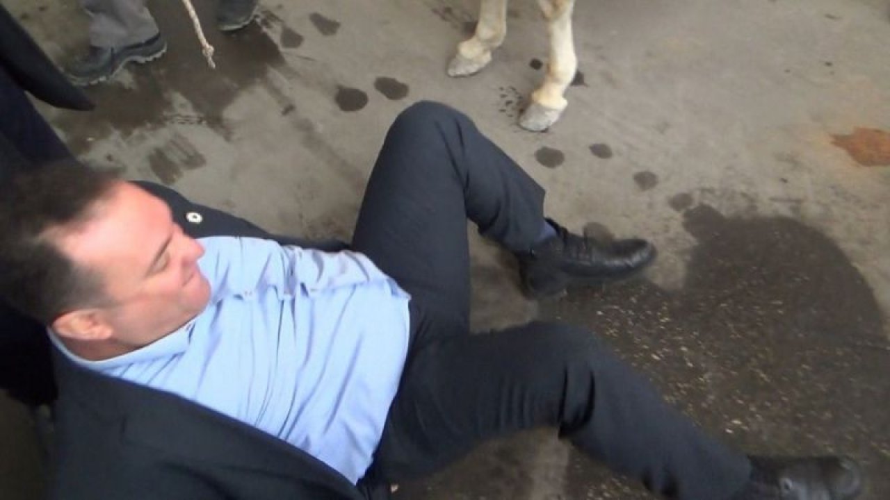 Son Dakika:Video Haber....Gaziantep’te, protesto amacıyla eşekle akaryakıt istasyonuna giden Başkan eşekten düştü...Gelecek düştü...