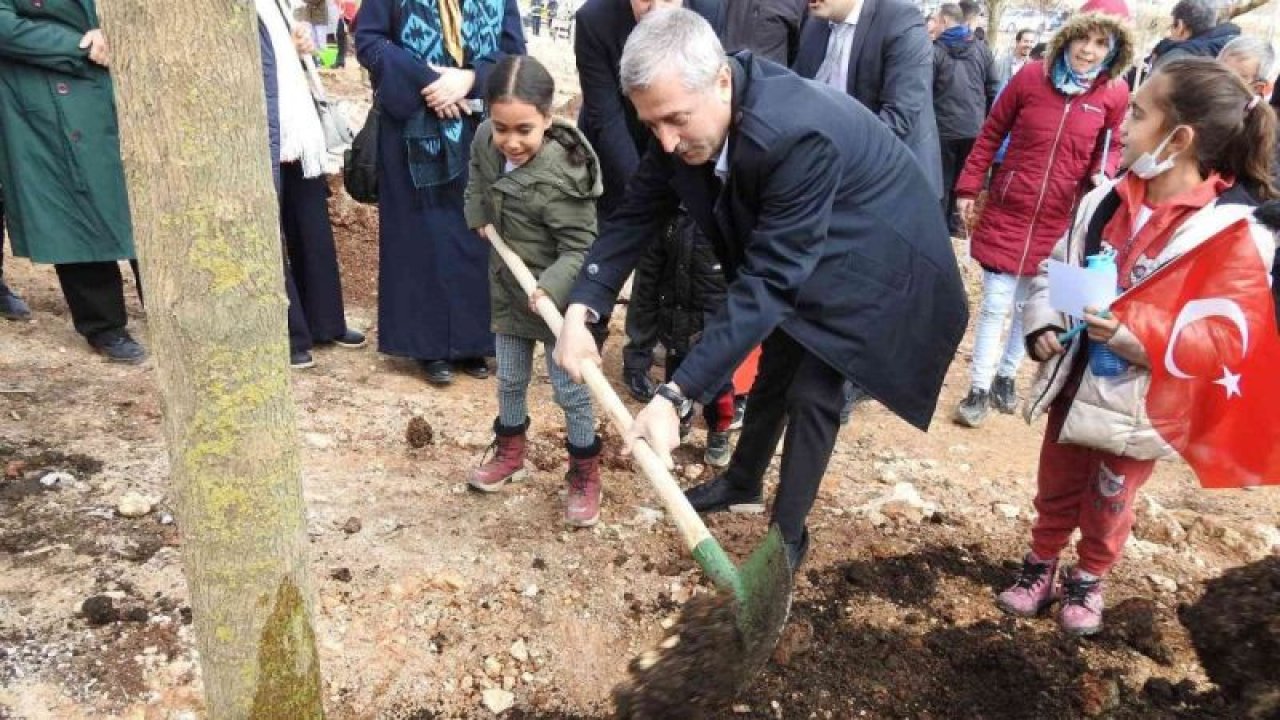 Şahinbey’de ağaç dikimi törenle yapıldı