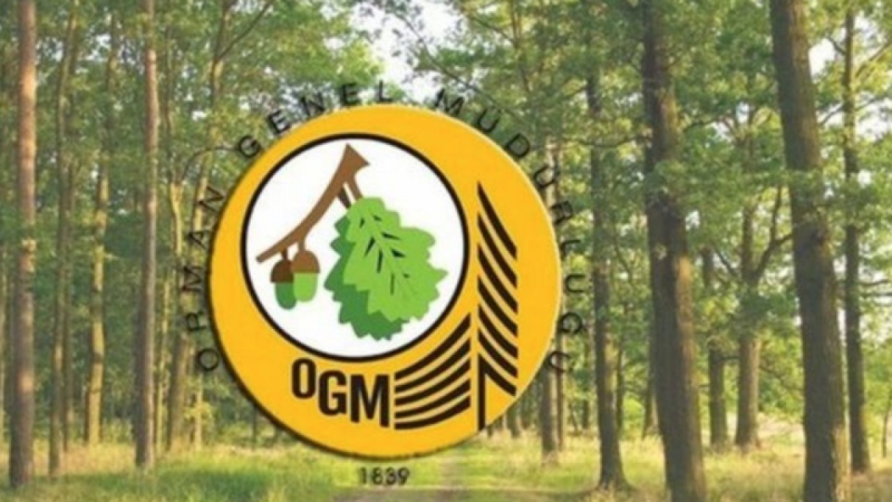 Tarım ve Orman Bakanlığı 5 Bin 64 personel alımı yapacak! 2022 OGM personel alımı ne zaman?