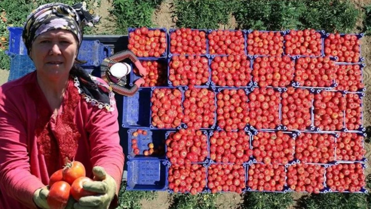 Gaziantep'te Domates Hiçbir Ramazan Bu Kadar 'ZAM' Görmemişti...Domates ve sebze fiyatları 7 yılın rekorunu kırdı!