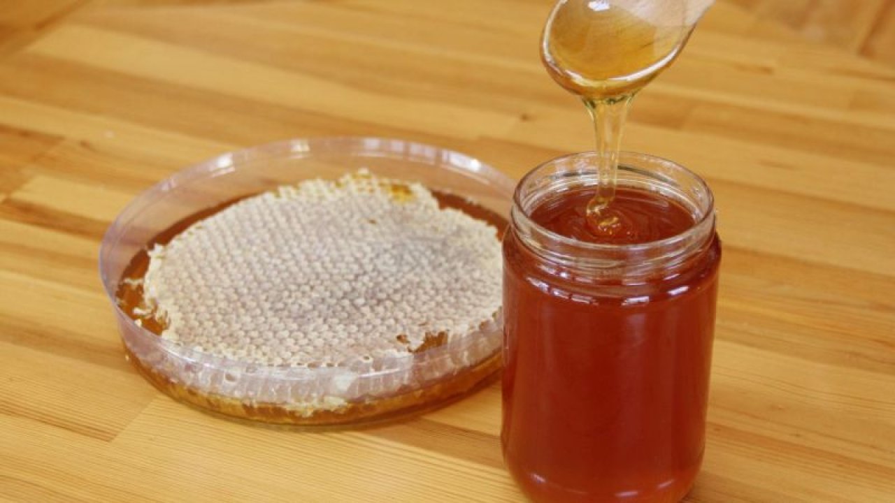 Gaziantep'in "zahter balı" coğrafi işaretle tescillendi