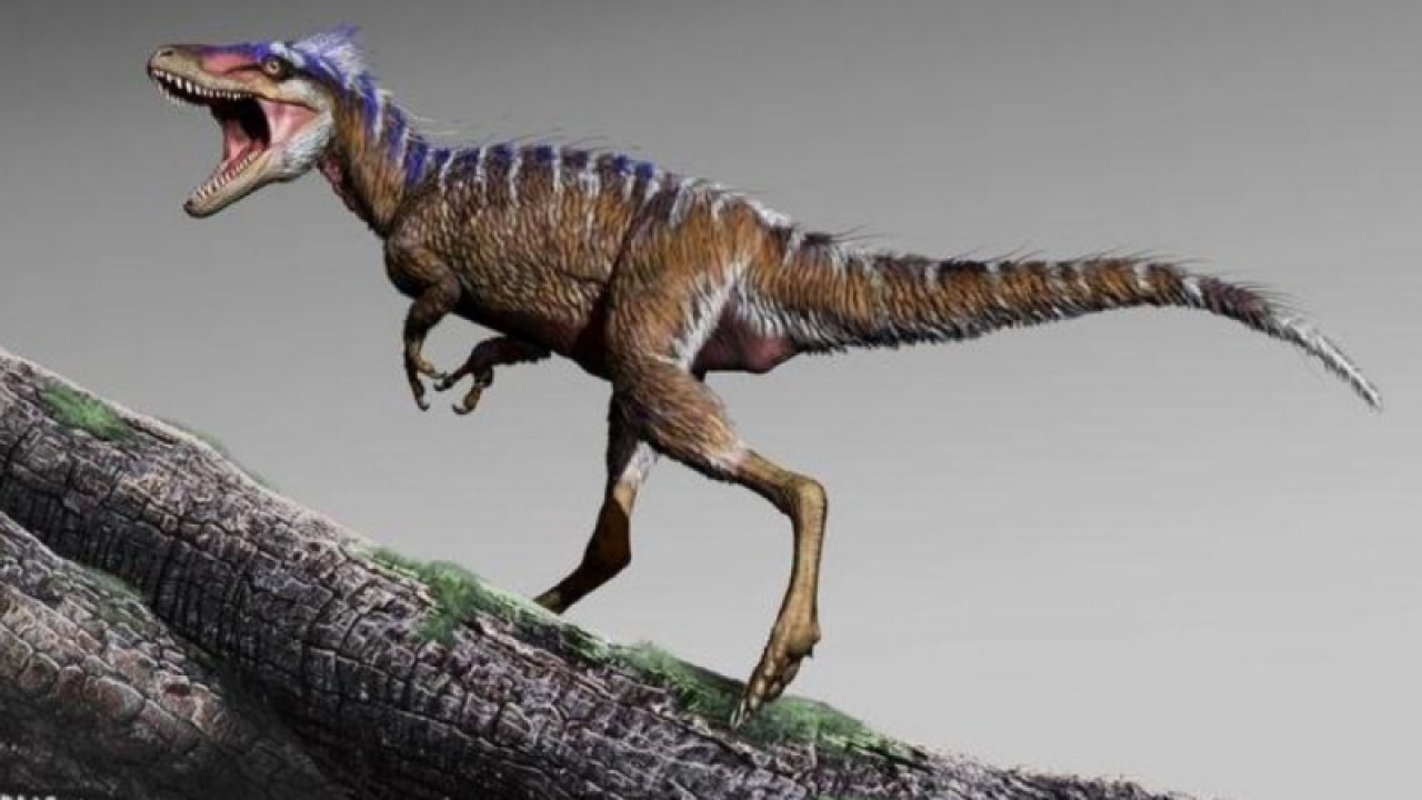 Korkutucu dinozor Trex’in neden kısa kollara sahip olduğu ortaya çıktı
