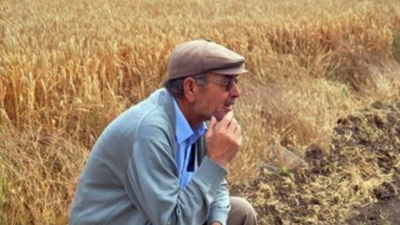 Gaziantep'te Çiftçilerde icralık oldu! Gaziantepli çiftçi artan maliyetler karşısında artık direnemiyor...