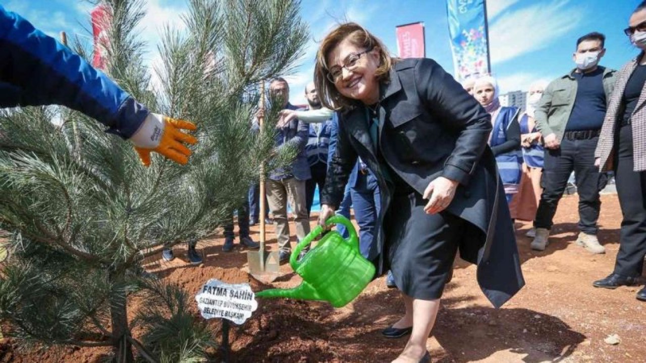Gaziantep Büyükşehir 250 karaçam dikimi yaptı