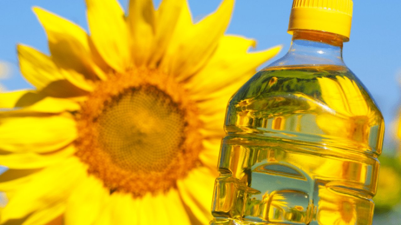 Ayçiçek Yağı Hiç Bu Kadar İndirim Görmemişti! Zincir Marketlerden Dev Ayçiçek Yağı İndirimi! Gaziantep'te En Ucuz Ayçiçek Yağı Hangi Markette? İşte ŞOK, A101, BİM ayçiçek yağı fiyatları