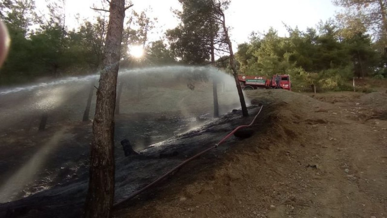 Gaziantep'te örtü yangını söndürüldü