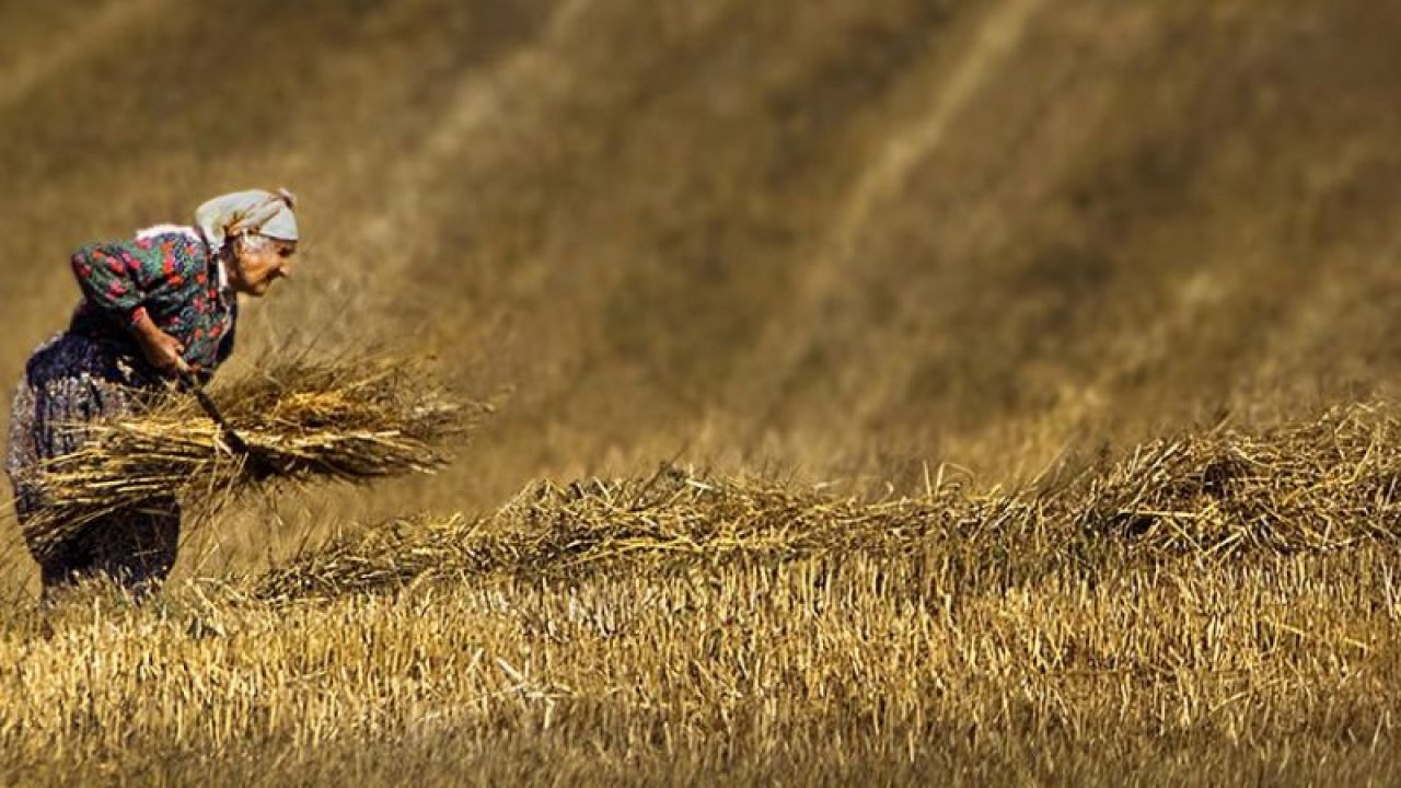 Devletten çiftçilerin yüzünü güldürecek destek! Başvurana anında 5 bin TL hibe desteği!