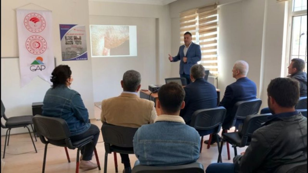 Gaziantep'te besicilere küçükbaş yetiştiriciliği eğitimi verildi