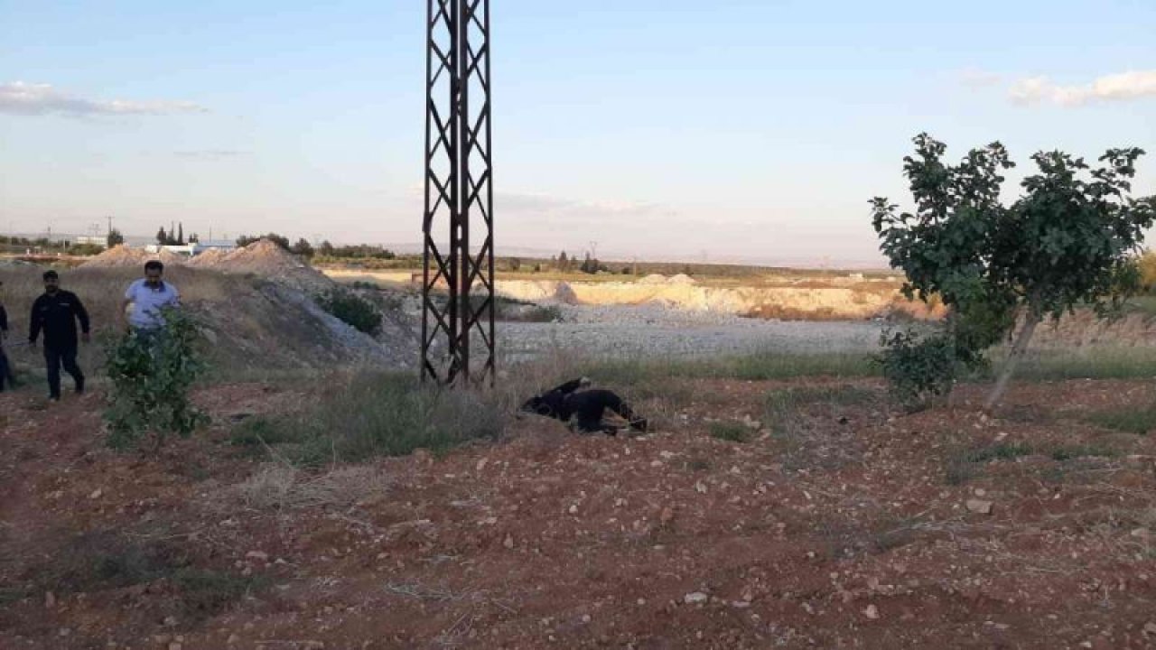 Gaziantep'te dehşet! Hırsızın feci sonu