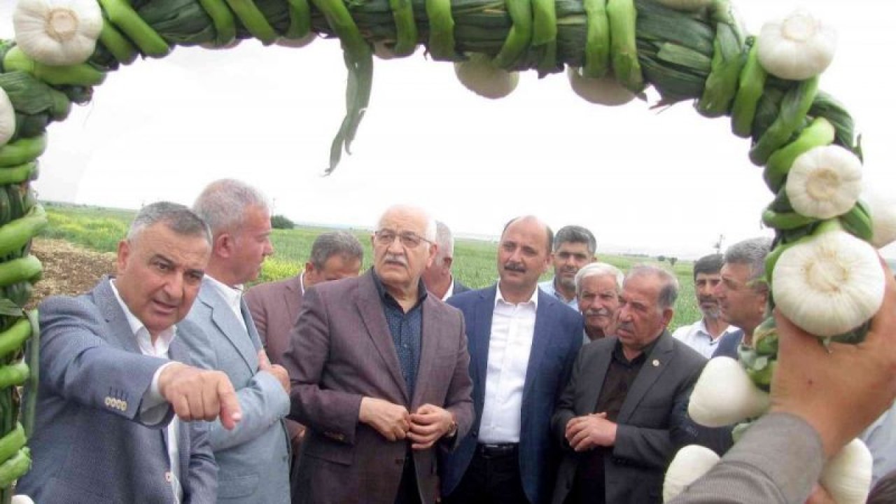 Milletvekili Erdoğan Çiftçiler Gününü tarlada kutladı
