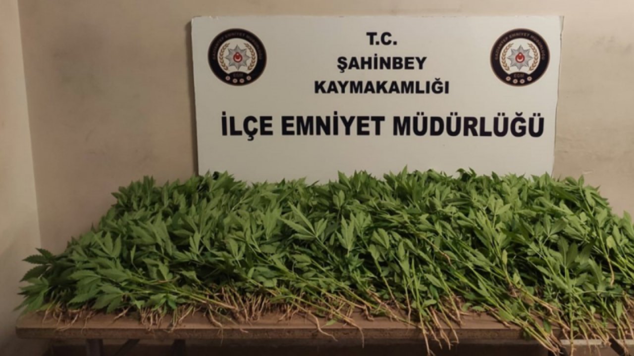 Gaziantep polisinden uyuşturucu tacirlerine operasyon