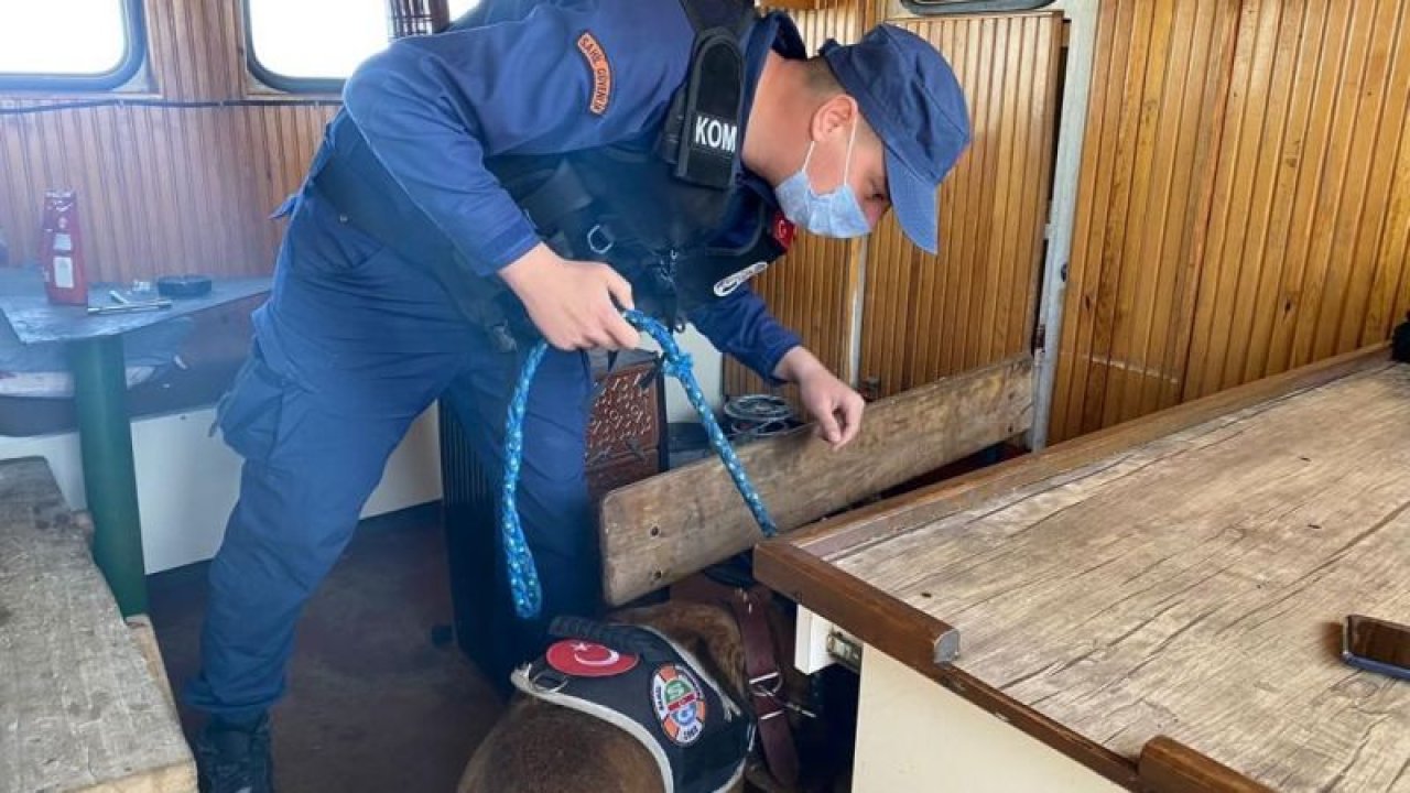 Ülke genelinde düzensiz göçmen operasyonu