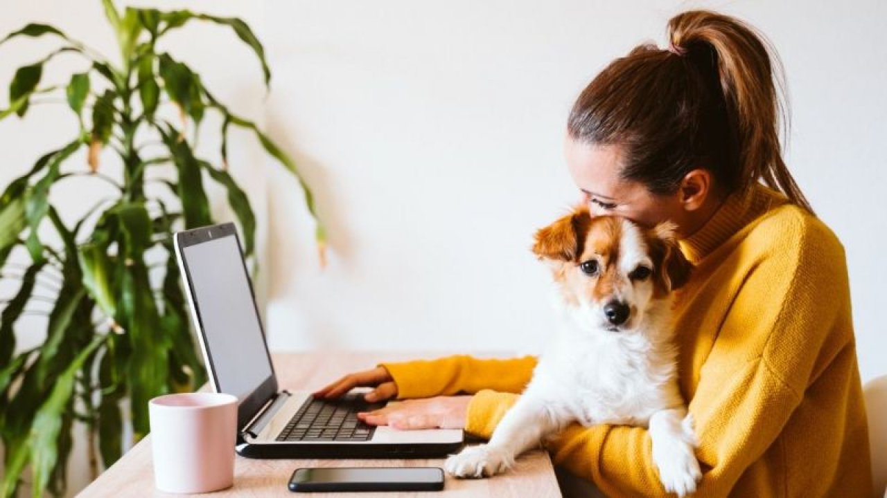 Evden Çalışarak Para Kazanmak İsteyenlere Bu Meslekler Bire Bir! Hiçbir Özel Yetenek Gerektirmeden Oturduğunuz Yerden Binlerce TL Kazanın!