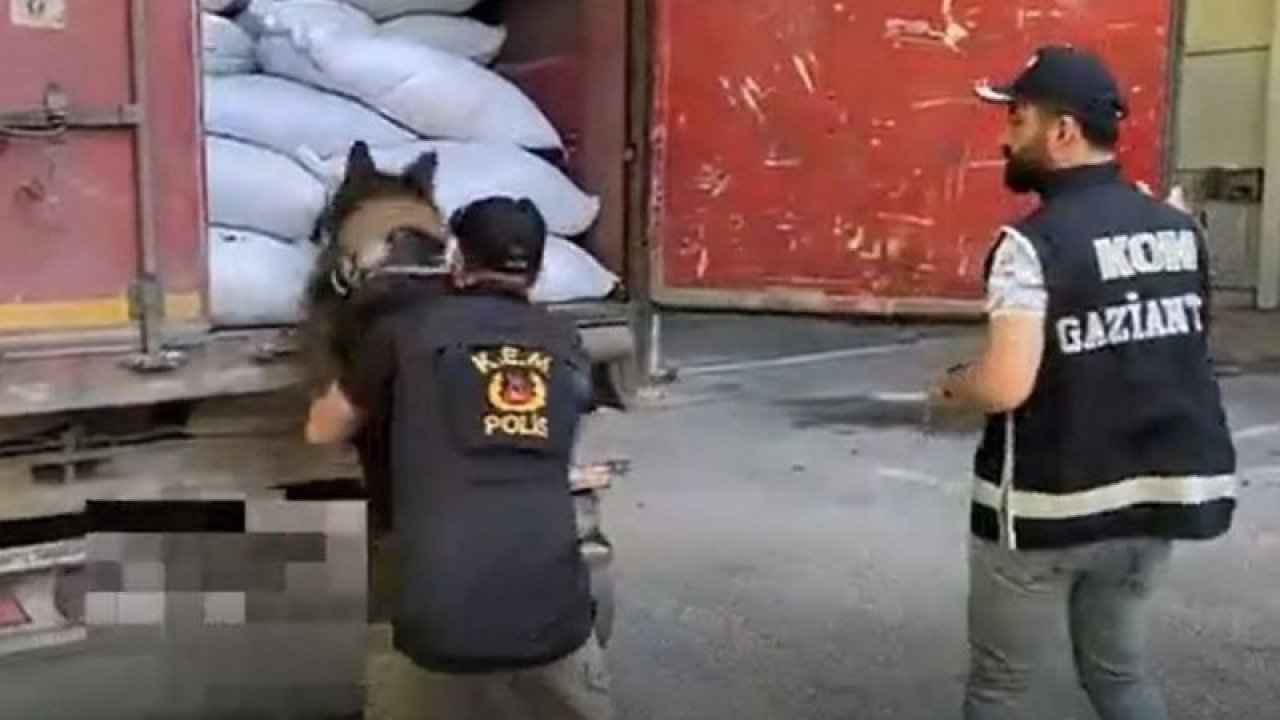 Gaziantep’te 2 araçta yapılan aramalarda  binlerce paket kaçak sigara ele geçirildi...TIKLA İZLE