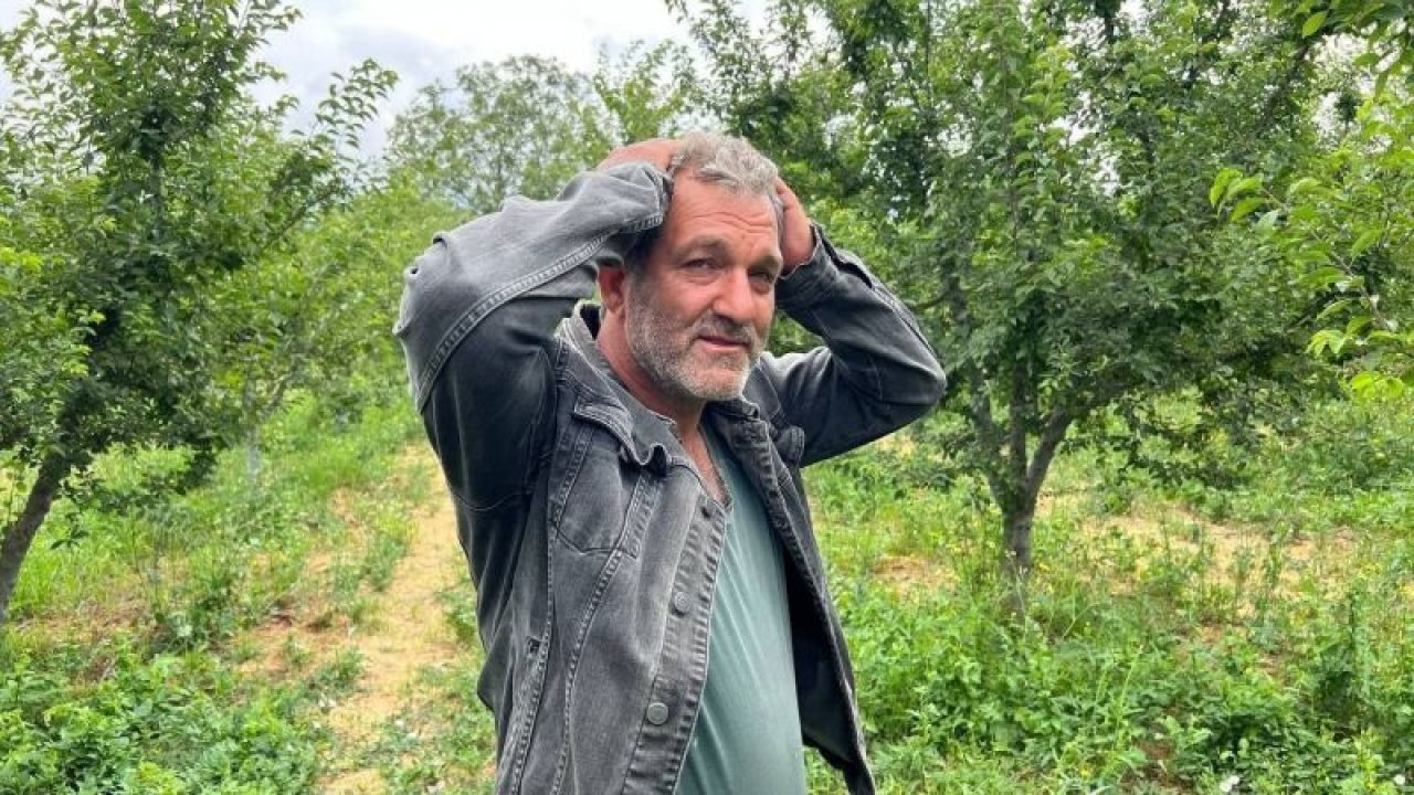 Bir erik tarlasından 160 ağaç eriği bir gecede toplayıp çalan hırsızlar tarla sahibini şoke etti. Erik tarlası soyulan çiftçiden hırsıza mesaj: "Çok profesyoneller, işçilik güzel, kendisi ile çay içmek istiyorum"