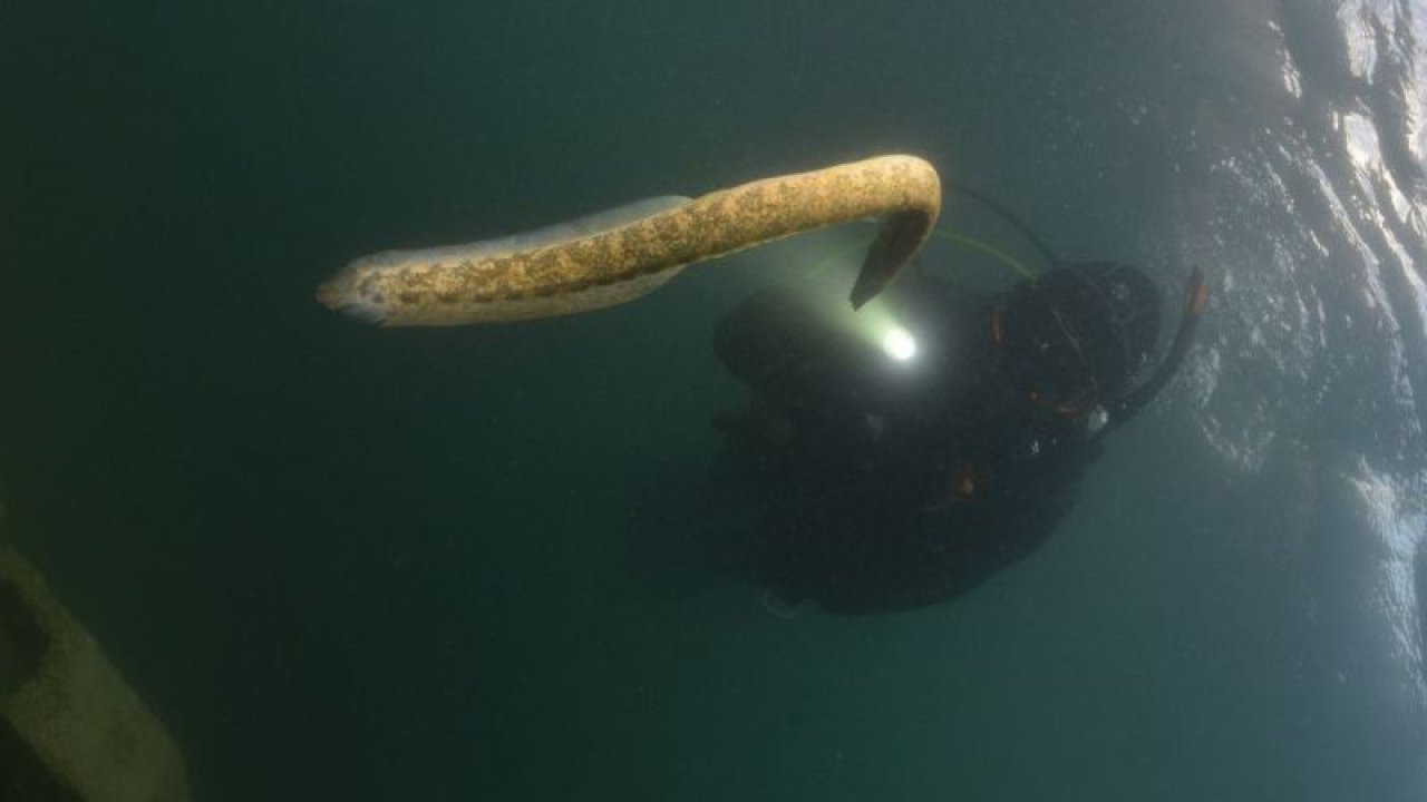 Gaziantep ve RUMKALE...Su altındaki şehir Halfeti "Mezopotamya" markasıyla İtalya'da tanıtılıyor...