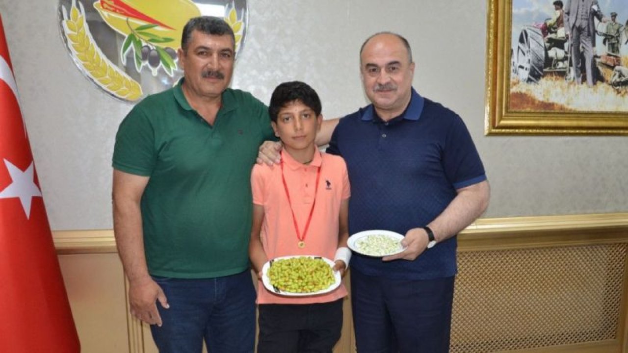 Fiyatıyla Gündemden Düşmeyen Antep Fıstığı İlk Mahsülünü Verdi! Gaziantep'te yılın ilk Antep fıstığı yetiştiricisi altınla ödüllendirildi