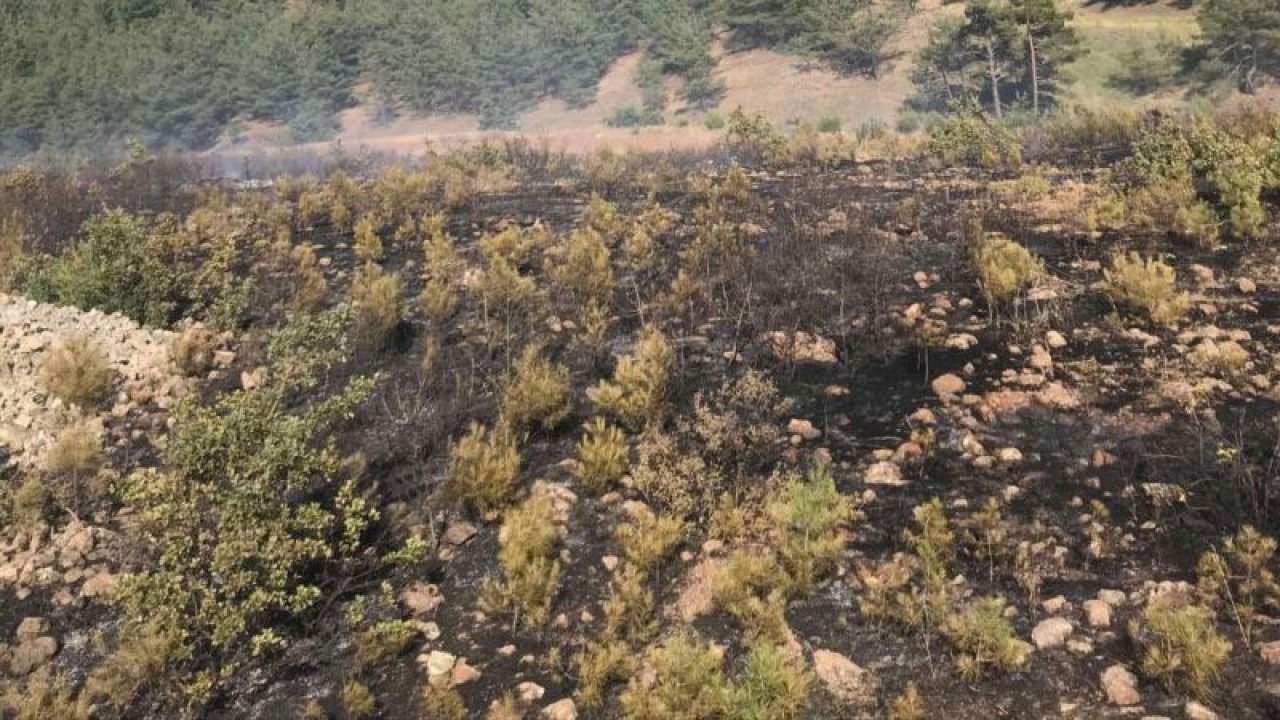 Gaziantep'te çıkan örtü yangını söndürüldü