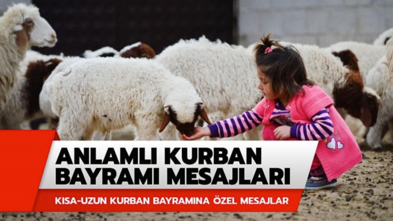 Kurban Bayramı mesajları! Whatsapp, Facebook ve Instagram için Kurban Bayramı mesajları! En güzel ve anlamlı resimli Kurban Bayramı mesajları!