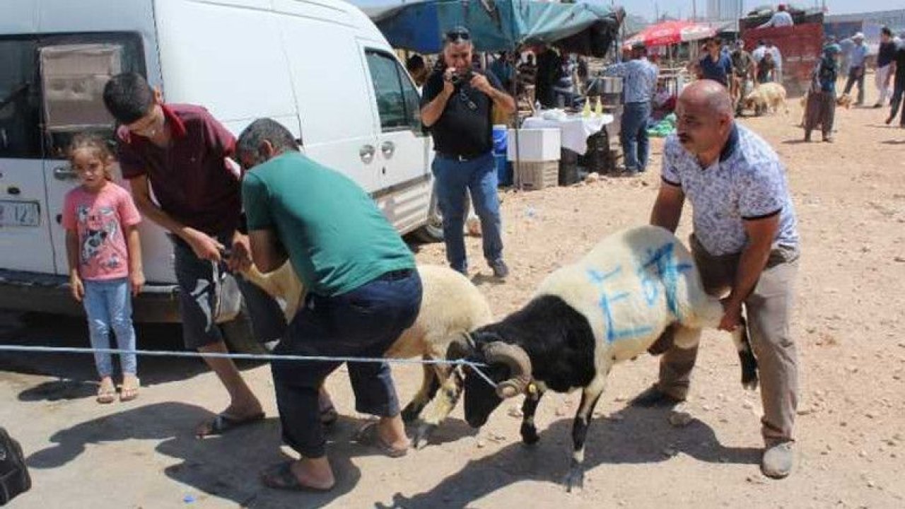 Gaziantepli Boşa Bekleme! Kurban Fiyatları Düşmeyecek! Kurbanlık fiyatlarında düşüş bekleyen vatandaşlar bayramın birinci gününe umut bağlamıştı! AMA FİYATLAR DÜŞMEDİ!