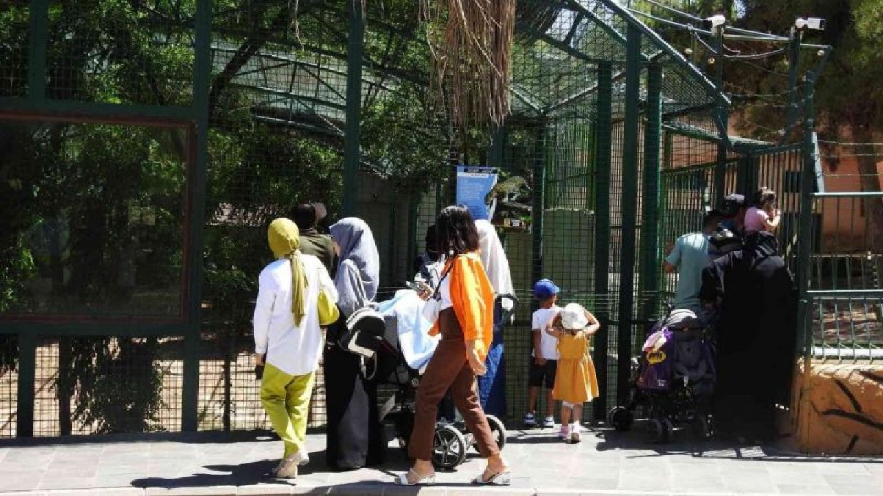 Gaziantep Hayvanat Bahçesi’nde bayram yoğunluğu...  Bayramın ilk 2 gününde yaklaşık 22 bin kişi ziyaret etti.