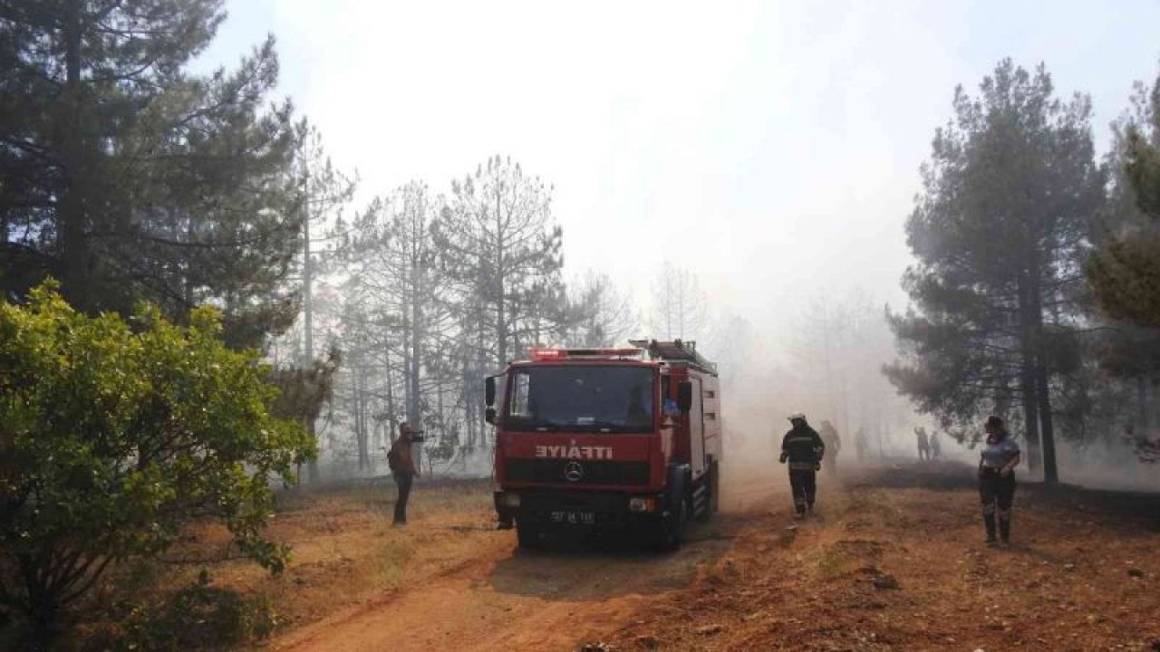 Gaziantep'te Burç Ormanında Çıkan Yangında İlginç Detay! 7 dakikada yapılan müdahale faciayı önledi