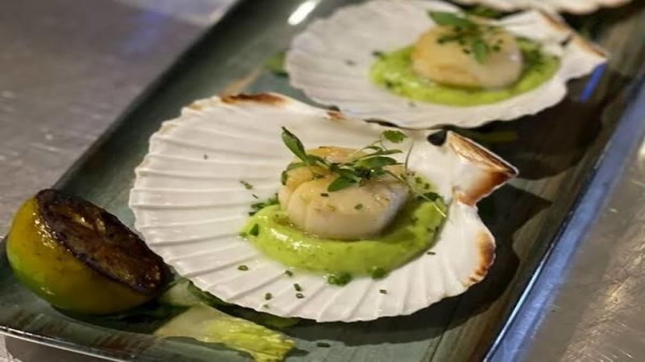 Master Chef’te çok konuşuldu! Deniz Tarağı nasıl yenir? Nasıl temizlenir? Limon koyulur mu? Deniz tarağı nedir?