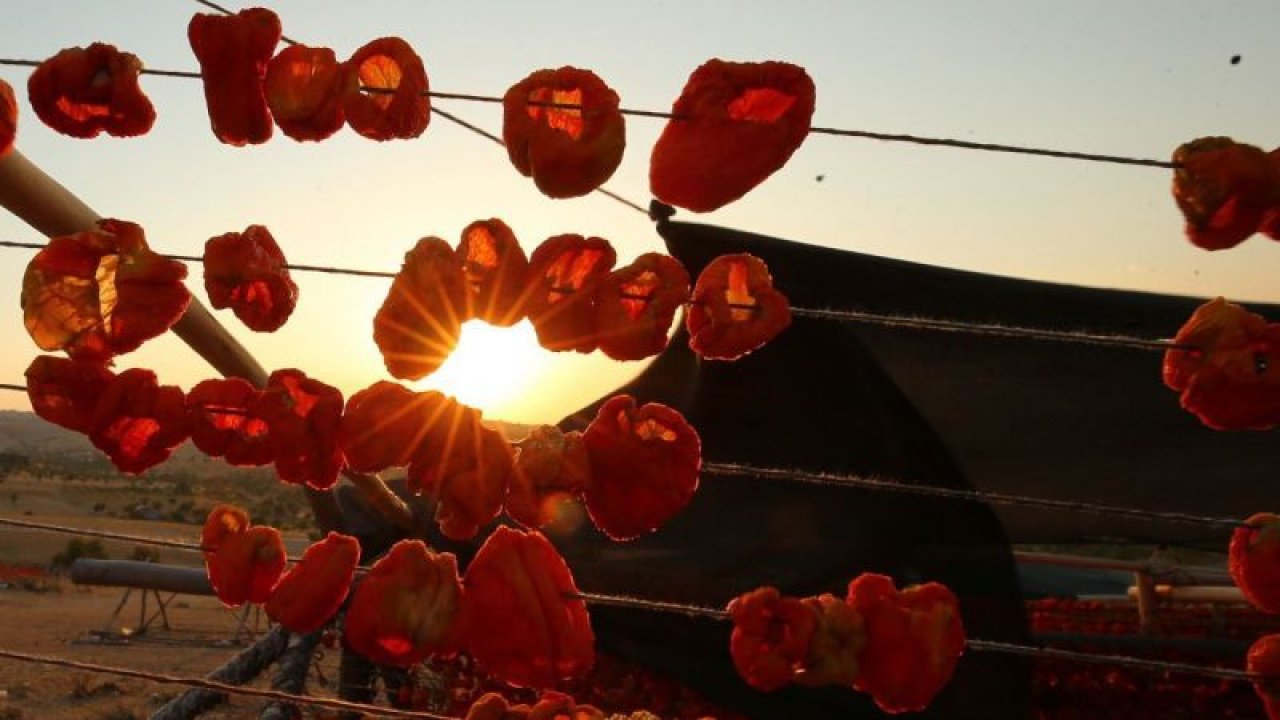 Gaziantep'in  "kurutmalıkları" güneşle buluştu